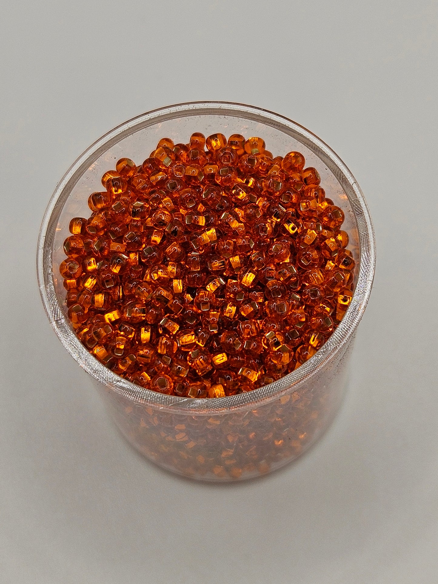 Czech Seed Bead 10/0 S/L Orange