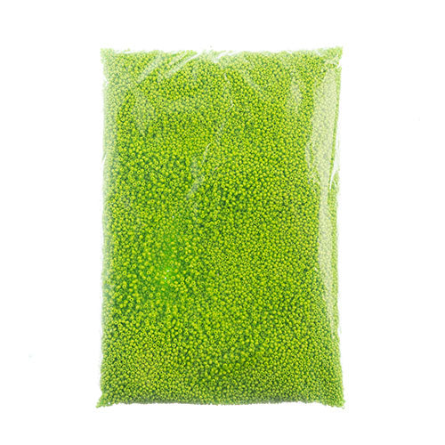 Czech Seed Bead 10/0 Terra Intensive Light Green